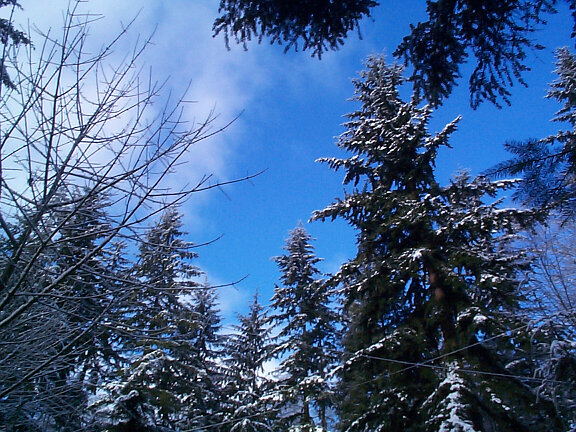 blue_sky_snow