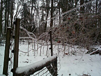 ice_storm gate picture